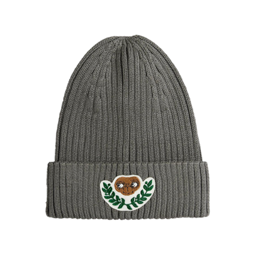 Mini Rodini Mini Rodini GREY Cap with patch